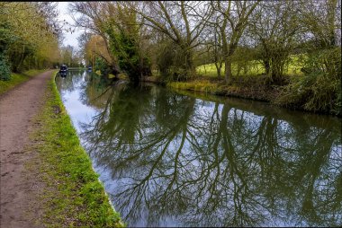 İngiltere 'nin Foxton Locks yakınlarındaki Büyük Birlik Kanalı' ndaki ağaçların yansımaları.