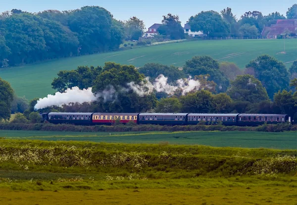 Tren Vapor Kent East Sussex Railway Cerca Bodiam Sussex Primavera — Foto de Stock