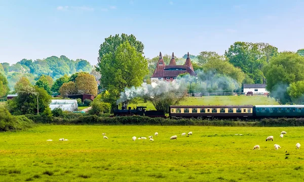 Kent ve Doğu Sussex Demiryolu 'ndaki buhar treni ilkbaharda Bodiam İstasyonu Sussex' e hareket eder.