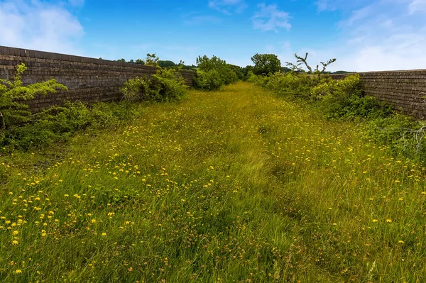 Kilátás Elhagyatott Viadukt Mentén Catesby Közelében Northamptonshire Egyesült Királyság — Stock Fotó