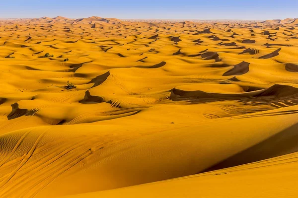 봄철에 아랍에미리트 아라비아 사막의 지평선까지 언덕들 — 스톡 사진