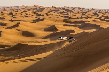 Hatta 'da, Dubai yakınlarındaki bir çöl safarisinin baharda BAE' de görülmesi.