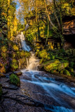 Bentley Brook, Derbyshire, İngiltere 'deki Lumsdale' de bir şelale şelalesinin uzun soluklu manzarası.