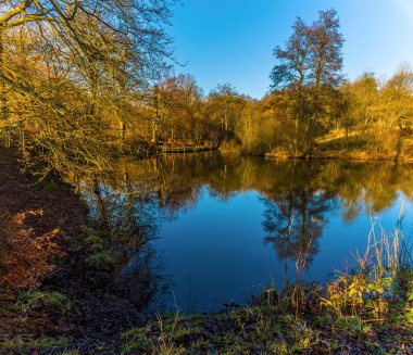 Bentley Brook, Derbyshire, İngiltere 'ye uzanan huzurlu ve sakin bir gölet manzarası.