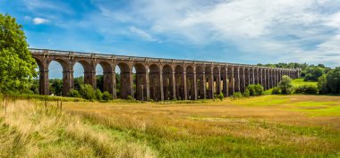 İngiltere 'nin Sussex kentindeki Ouse Viyadük' üne doğru bir tarla manzarası