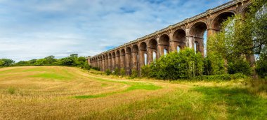 İngiltere 'nin Sussex kentindeki Ouse Viyana Viyadük' ü boyunca uzanan bir tarlanın manzarası.