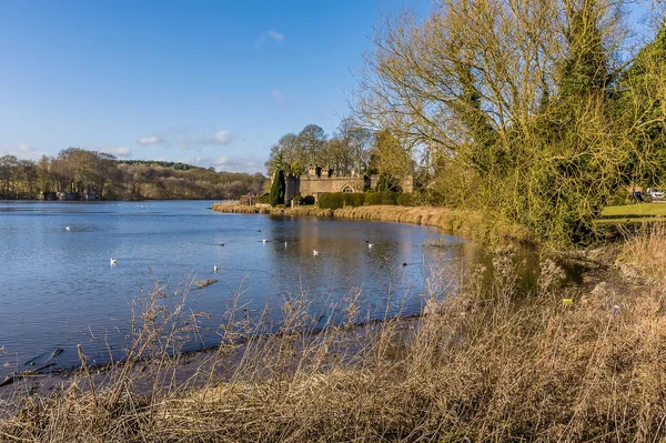 Pohled Jezero Řeky Leen Newstead Park Nottinghamshire Velká Británie — Stock fotografie