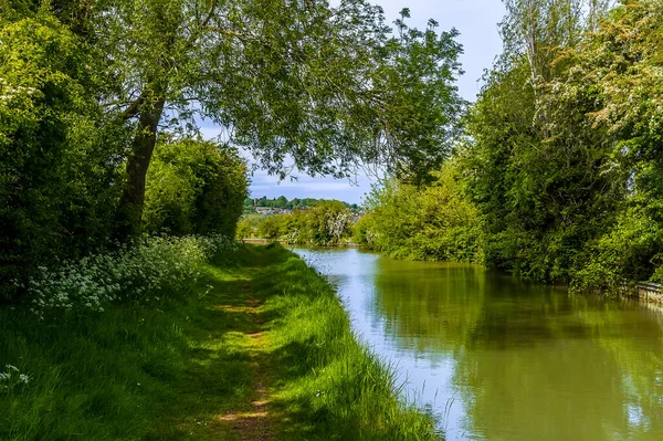Ner Oxford Canal Mot Byn Napton Warwickshire Sommaren — Stockfoto