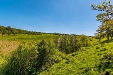 Brighton yakınlarındaki Güney Tepeleri 'ndeki İngiltere' nin en büyük kurak vadisine doğru bir manzara.