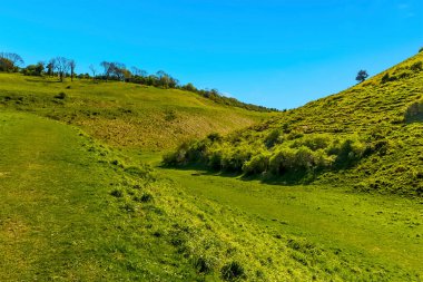 İlkbaharda Brighton yakınlarındaki South Downs 'da İngiltere' nin en büyük ve en geniş kurak vadisinin alt kısımları.