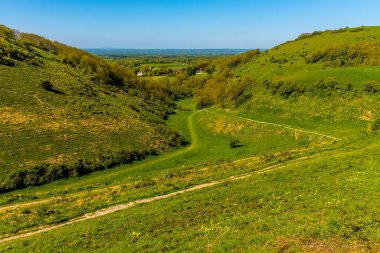 İlkbaharda Brighton yakınlarındaki Güney Tepeleri 'nin en uzun ve en geniş vadisinin alt kesiminde bir manzara.