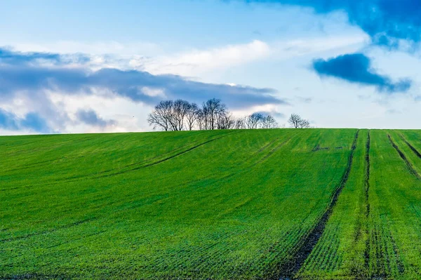 Uma Vista Das Terras Agrícolas Inverno Brampton Valley Way Perto — Fotografia de Stock