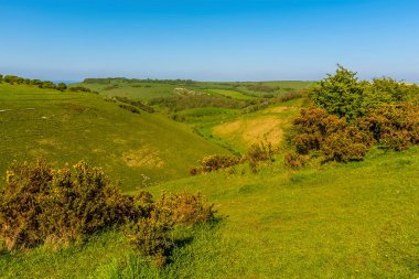 İlkbaharda Brighton yakınlarında, İngiltere 'nin en uzun ve kuru vadisine doğru uzanan bir manzara.