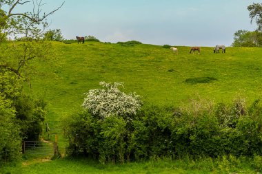 İlkbaharda İngiltere 'nin Market Harborough yakınlarındaki Gumley köyüne giden tepeden bir manzara.