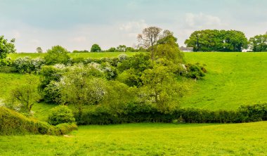 Baharda İngiltere 'nin Market Harborough yakınlarındaki Laughton Tepesi' ne doğru bir manzara