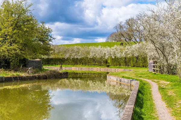 Blackthorn Blossom Lemuje Břehy Kanálu Grand Union Poblíž Smeeton Westerby — Stock fotografie