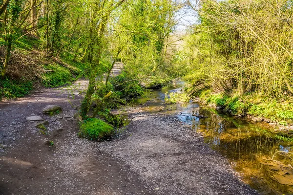 Une Vue Sur Ruisseau Pennard Pill Qui Coule Vers Three — Photo