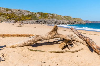 Bahar zamanı Güney Galler 'in Pembrokeshire sahilindeki Barafundle plajında sürüklenen bir manzara