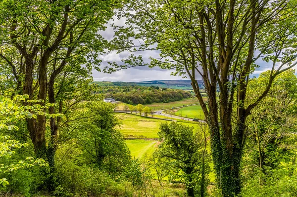 Une Vue Château Stirling Par Jour Été — Photo