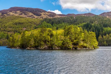 İskoçya 'nın kuzeyindeki Katrine Gölü' nün kuzey kıyısındaki bir adanın görüntüsü.