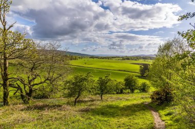A view down over rolling hills from Dumpling Hill, Gartocharn, Scotland on a summers day