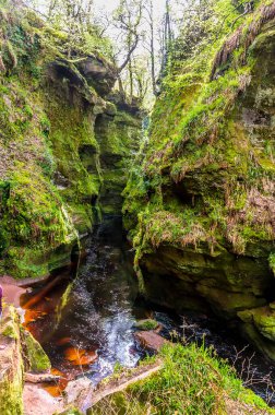 A view upstream through the narrow gorge of Finnich Glen, Scotland on a summers day