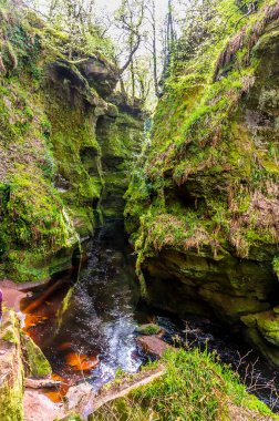 A view upstream through the narrow gorge of Finnich Glen, Scotland on a summers day clipart
