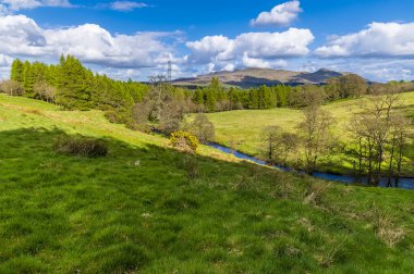 A view of Carnock Burn as it exits the narrow gorge of Finnich Glen, Scotland on a summers day