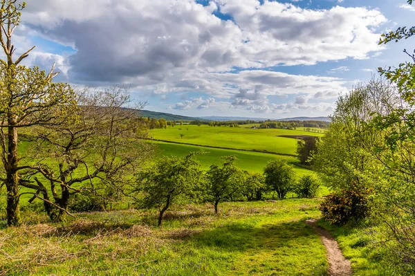 View Rolling Hills Dumpling Hill Gartocharn Scotland Summers Day — Photo