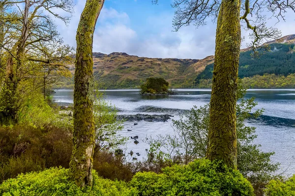 Вид Обрамлённый Деревьями Лох Ломонд Шотландии Летом — стоковое фото