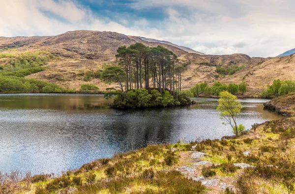 在苏格兰的一个夏日里 穿过Loch Eilt向小岛Eilean Moine方向俯瞰 — 图库照片