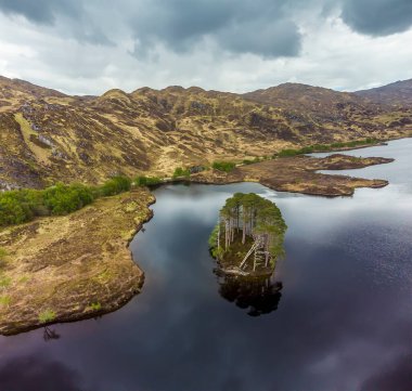 Küçük bir orman adası ve İskoçya, Loch Eilt 'in kuzey kıyısının havadan görünüşü.