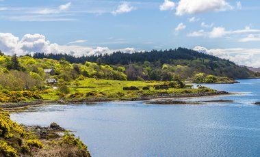 İskoçya 'nın Skye adasında, bir yaz günü Loch Dunvegan' ın aşağısında bir manzara