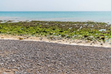 Yaz başında Birling Gap, İngiltere 'de deniz manzarası