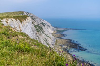 Yaz başında Beachy Head, Sussex, İngiltere 'deki kayalıklar boyunca bir manzara