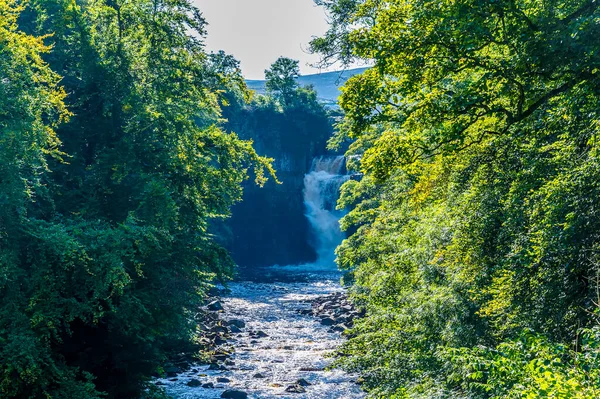 Blick Den Fluss Tees Hinunter Zum High Force Wasserfall Sommer — Stockfoto