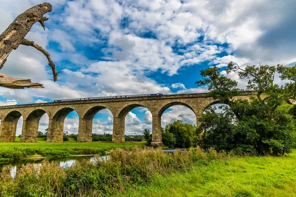 Widok Pociągu Wiadukt Arthingtona Yorkshire Wielka Brytania Lecie — Zdjęcie stockowe