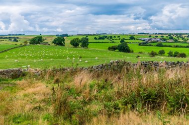 İngiltere 'nin Yorkshire kentindeki Almscliffe kayalığının zirvesinden aşağıya bakan bir manzara
