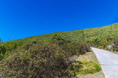 West Head Burnu 'nda, Knysna Nehri' nde, Güney Afrika 'da Spring Time' da bir manzara