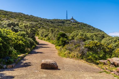 Baharda Güney Afrika, Ümit Burnu 'ndaki yarımadanın sonundaki deniz fenerine giden patikadan bir manzara.