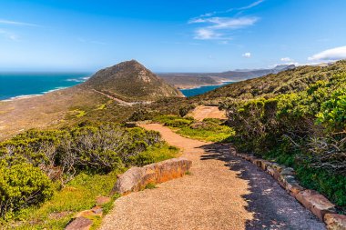 Baharda Cape Point, Güney Afrika 'daki deniz fenerinden uzanan patikadan bir manzara.