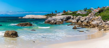 Güney Afrika, Boulders Sahili 'nin kıyı şeridinde ilkbahar manzarası