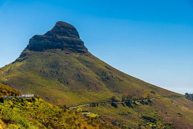 Baharda Güney Afrika 'daki Masa Dağı' nın eteklerinden Lions Head Dağı 'na doğru bir manzara.