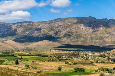 Güney Afrika 'nın Klein Karoo bölgesindeki Bahçe güzergahı üzerinde baharda tarım arazisi manzarası