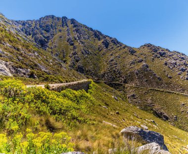 Güney Afrika 'da Swartberg Geçidi' nin çakıllı yoluna doğru bir manzara yayılıyor.