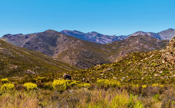 Swartberg Geçidi 'nden Güney Afrika' daki uzak Swartberg dağlarına doğru bir manzara.