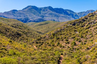 Güney Afrika 'da Swartberg Geçidi' nin eteklerindeki bir vadide bahar zamanı Swartberg dağlarının manzarası.