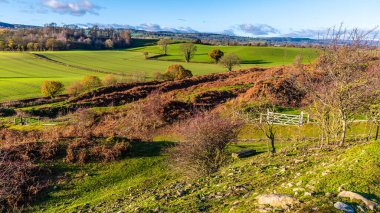 Galler, Oswestry 'deki Eski Oswestry kalesinin surlarına giden yol üzerinde bir manzara.