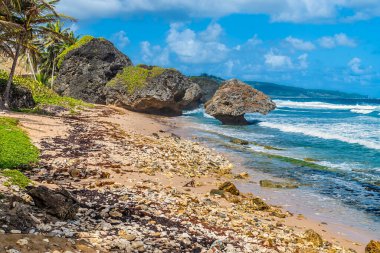 Ocak ayında Barbados 'un Atlantik kıyısındaki Bathsheba' da aşınmış kayalara doğru bir manzara
