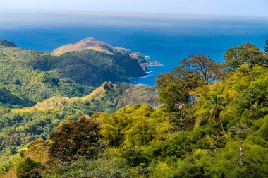 Ocak ayının aydınlık bir gününde Tobago 'daki kayalık kıyı şeridine doğru yağmur ormanlarını aşan bir manzara